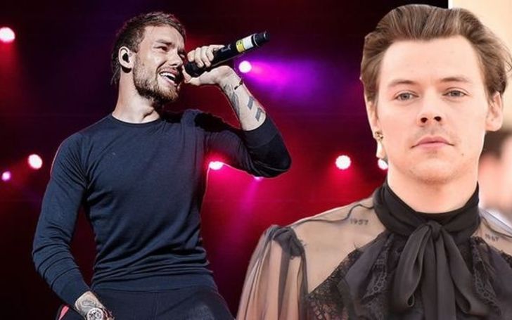 Liam Payne's reaction to Harry Styles' Voice Brings the News About Their Reunion